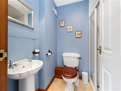 Picture 7